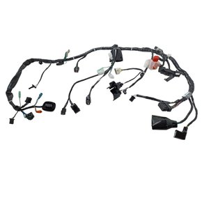 3mtb102434 chicote principal cg160 start es 2022 2023 07