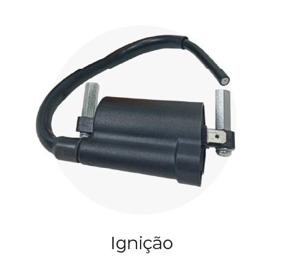 categoria ingnicao