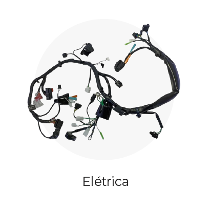 categoria eletrica