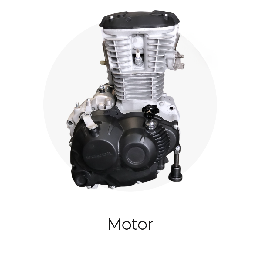 categoria motor